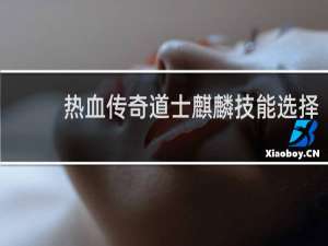 热血传奇道士麒麟技能选择