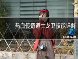 热血传奇道士龙卫技能详解