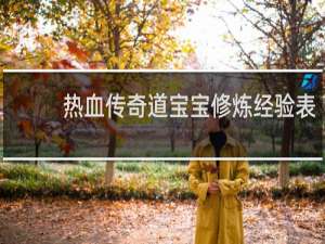 热血传奇道宝宝修炼经验表