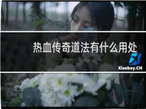 热血传奇道法有什么用处