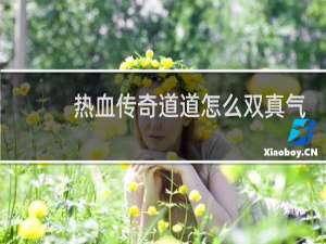 热血传奇道道怎么双真气