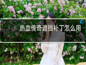 热血传奇遮挡补丁怎么用