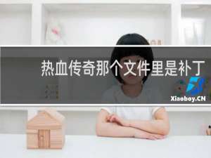 热血传奇那个文件里是补丁