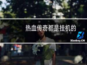热血传奇都是挂机的