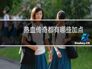 热血传奇都有哪些加点