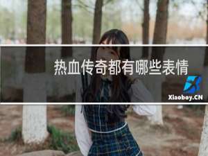 热血传奇都有哪些表情