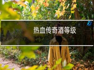 热血传奇酒等级