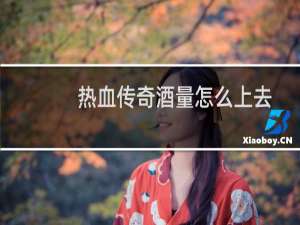 热血传奇酒量怎么上去