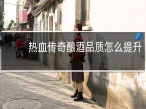 热血传奇酿酒品质怎么提升