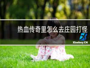 热血传奇里怎么去庄园打怪