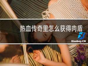 热血传奇里怎么获得肉盾