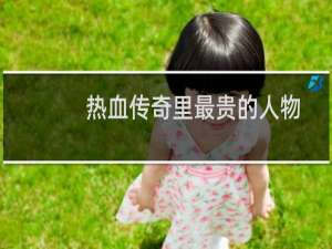 热血传奇里最贵的人物