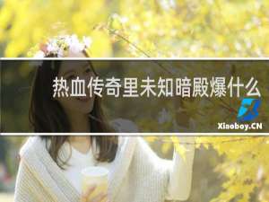 热血传奇里未知暗殿爆什么