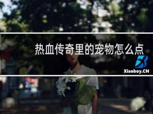 热血传奇里的宠物怎么点