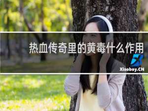 热血传奇里的黄毒什么作用