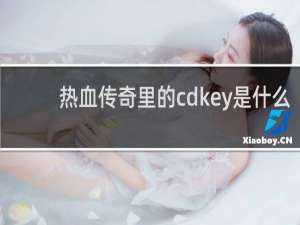 热血传奇里的cdkey是什么