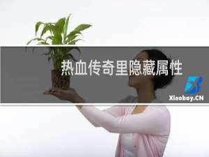 热血传奇里隐藏属性