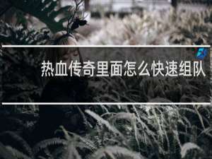 热血传奇里面怎么快速组队