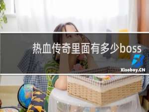 热血传奇里面有多少boss