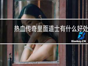 热血传奇里面道士有什么好处