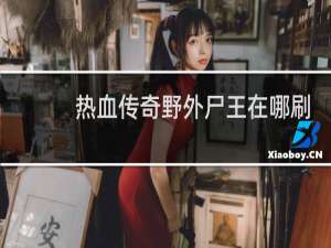 热血传奇野外尸王在哪刷