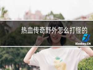 热血传奇野外怎么打怪的
