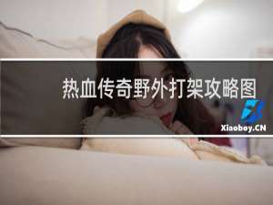 热血传奇野外打架攻略图