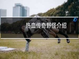 热血传奇野怪介绍