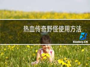 热血传奇野怪使用方法