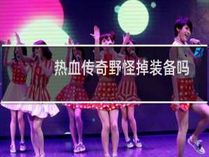 热血传奇野怪掉装备吗