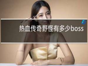热血传奇野怪有多少boss