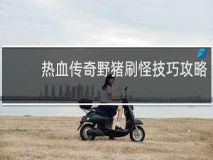 热血传奇野猪刷怪技巧攻略