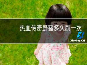 热血传奇野猪多久刷一次
