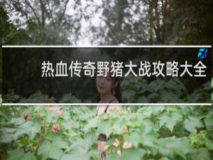 热血传奇野猪大战攻略大全