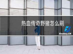 热血传奇野猪怎么刷