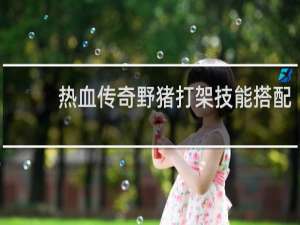 热血传奇野猪打架技能搭配