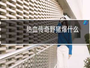 热血传奇野猪爆什么