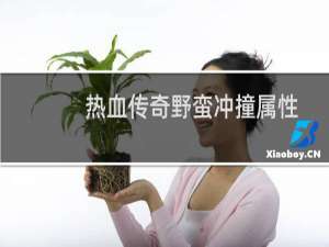 热血传奇野蛮冲撞属性