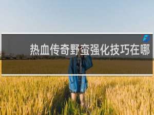 热血传奇野蛮强化技巧在哪