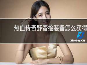 热血传奇野蛮捡装备怎么获得