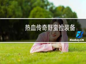 热血传奇野蛮捡装备
