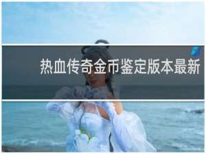 热血传奇金币鉴定版本最新