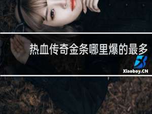 热血传奇金条哪里爆的最多