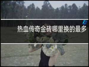 热血传奇金砖哪里换的最多