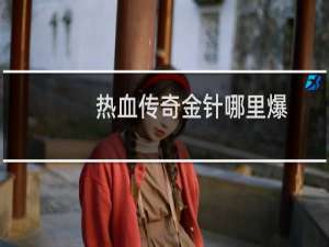 热血传奇金针哪里爆
