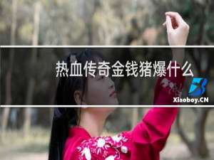 热血传奇金钱猪爆什么