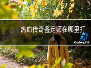 热血传奇鉴定师在哪里打