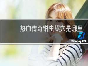 热血传奇钳虫巢穴是哪里