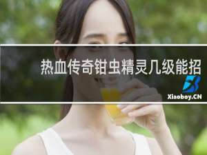 熱血傳奇鉗蟲精靈幾級能招