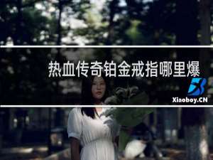 热血传奇铂金戒指哪里爆